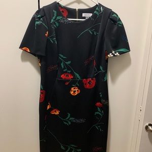 Calvin Klein Dress
